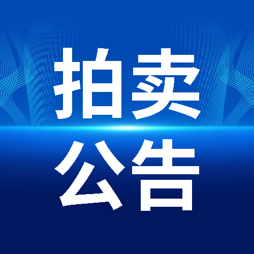 新疆塔城市錫伯圖河中游1號(hào)建筑用砂礦采礦權(quán)拍賣出讓公告